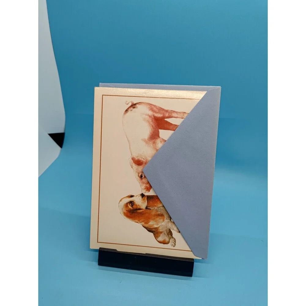 WillowBrook Gallery Vtg ( Know How Old you Are)  Birthday Card  By Steve Yee
